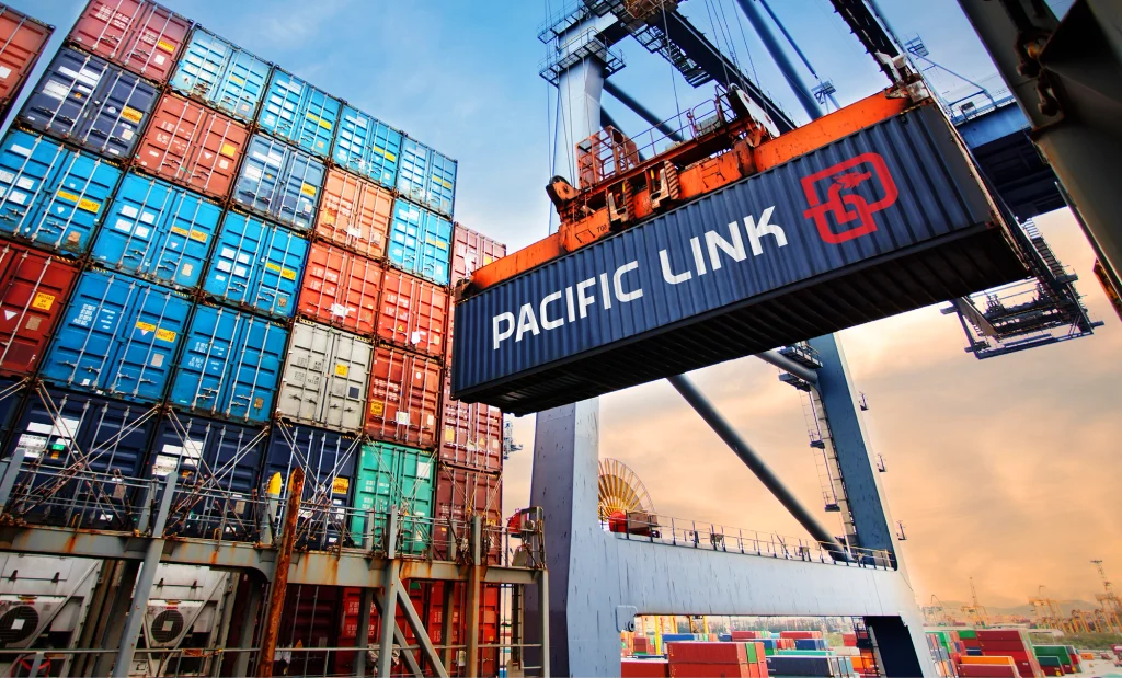 Aplicación del logotipo Pacific Link en contenedor de carga para transporte de mercancías.